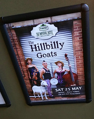 #17 The Hillbilly Goats