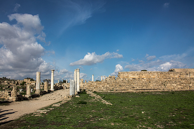 20141130 5792VRAw [CY] Salamis, Famagusta, Nordzypern
