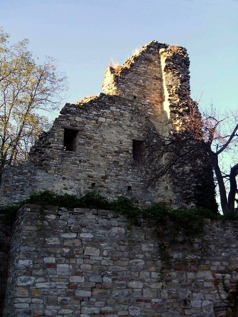 Castle ruins in Montecanino