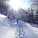 winter walk (2 x PiP)