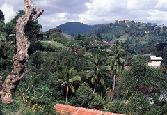 Kandy und die traumhaft schöne Berglandschaft