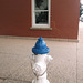Caroline Lockhart's hydrant