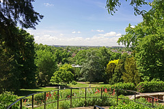 Richmond Hill Viewpoint