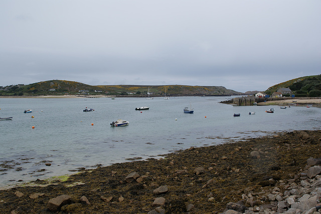 Boats At New Grimsby