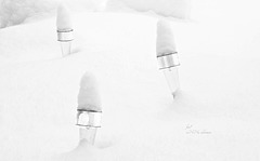 Drei Zwerge im Schnee