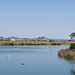 Imperial Dam, Hidden Shores, AZ (# 0809)