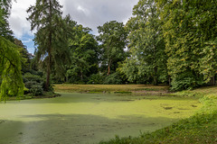Teich im Parkfriedhof Ohlsdorf