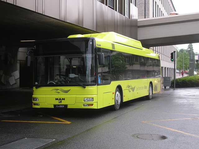 DSCN1855 Liechtenstein Bus Anstalt 29 (FL 28529) (operated by Ivo Matt A.G.)
