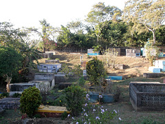 Funerary garden