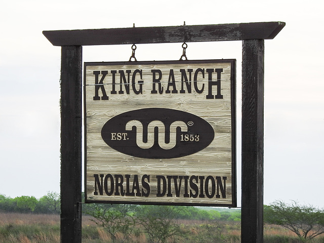 Day 5, King Ranch, South Texas
