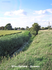 Fields near Winchelsea