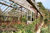 Former Greenhouses, Stanford Hall, Nottinghamshire