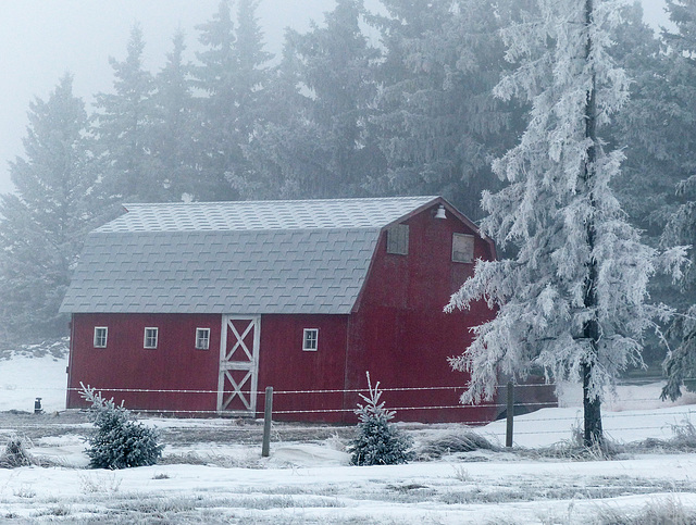 Red barn through the fog