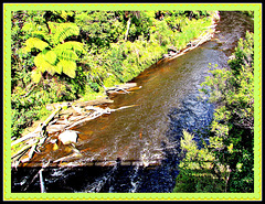Tangarakau River