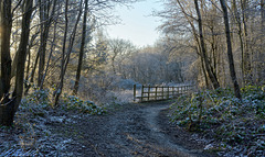 A cold walk at Lees Brook