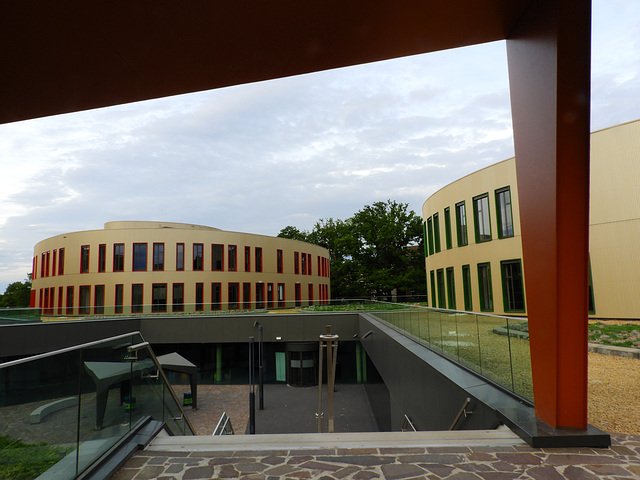 The New College  -Arcus Vista