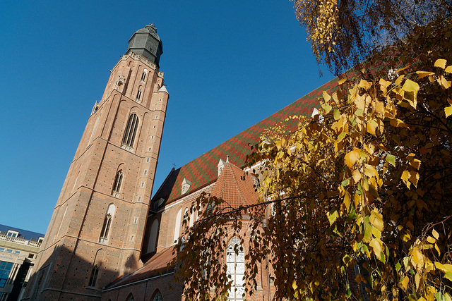 Eglise Sainte-Elisabeth (1)