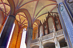 Barth, Orgel von St. Marien