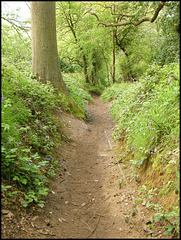 path down from St Martha's