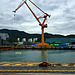 DSME heavy lift crane