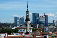 Tallinn Alt & Neu (2 PiP)
