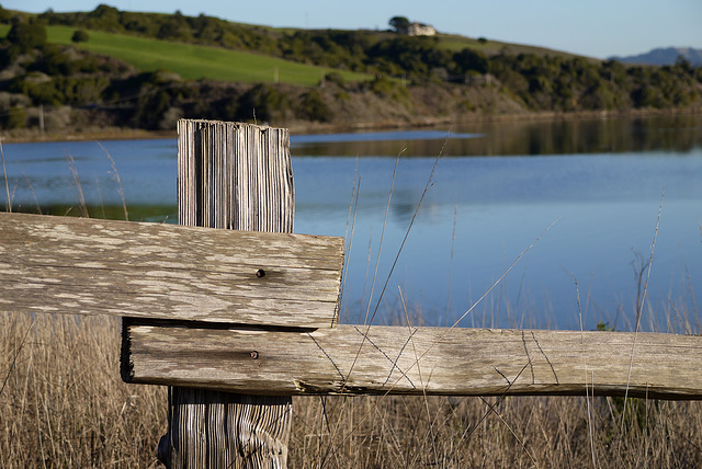Tomales Bay Fence
