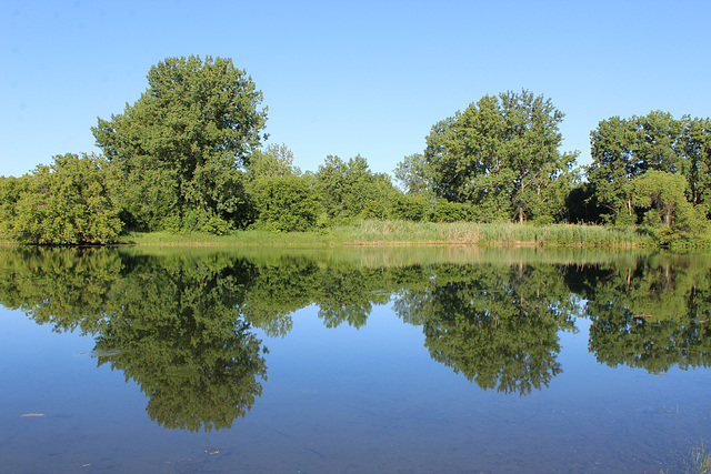 Lac Fauvel