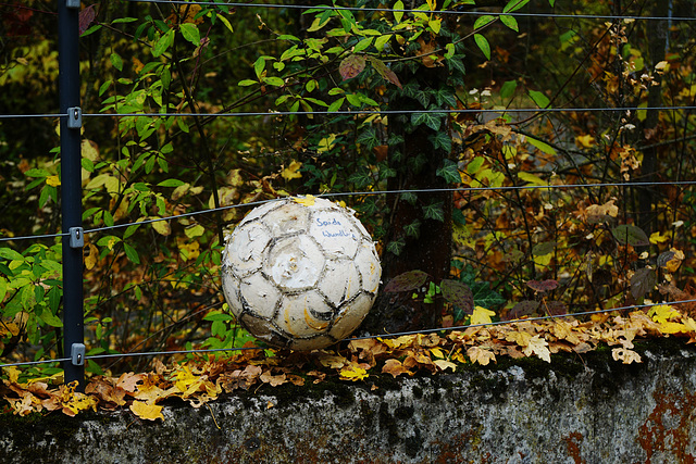 Der Ball im Zaun - The ball in the fence - HFF