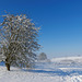 Winter im Zürcher Unterland (© Buelipix)