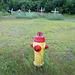Funerary hydrant in flat country