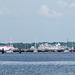 Green Cove Springs port (#0331)