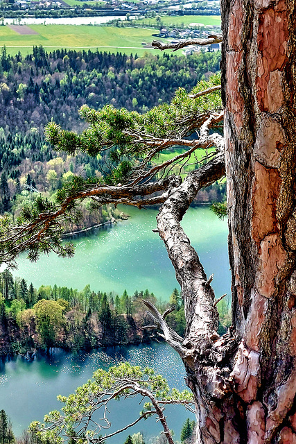 High Above The Lake