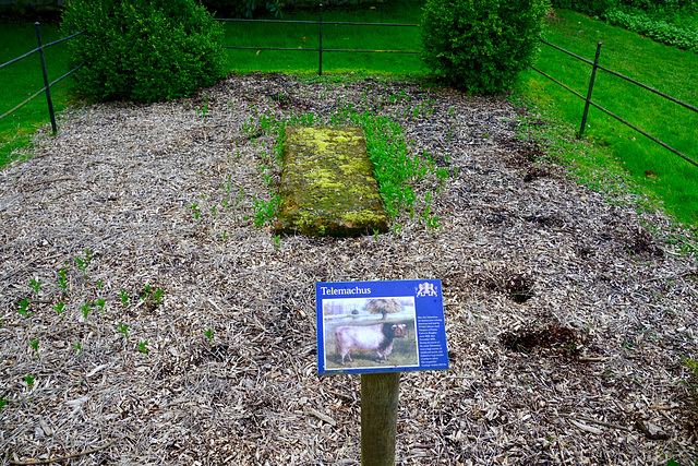 England 2016 – Burghley House – Grave of Telemachus