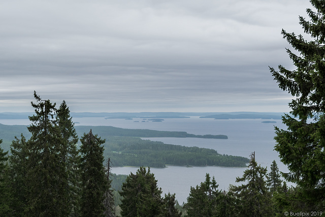 auf dem Ukko-Koli (© Buelipix)