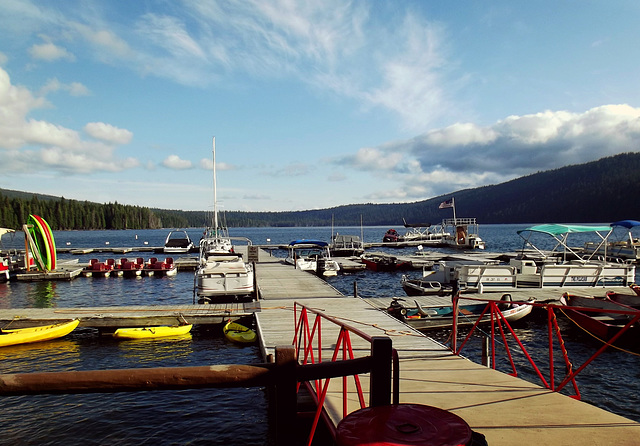 Dock in the afternoon