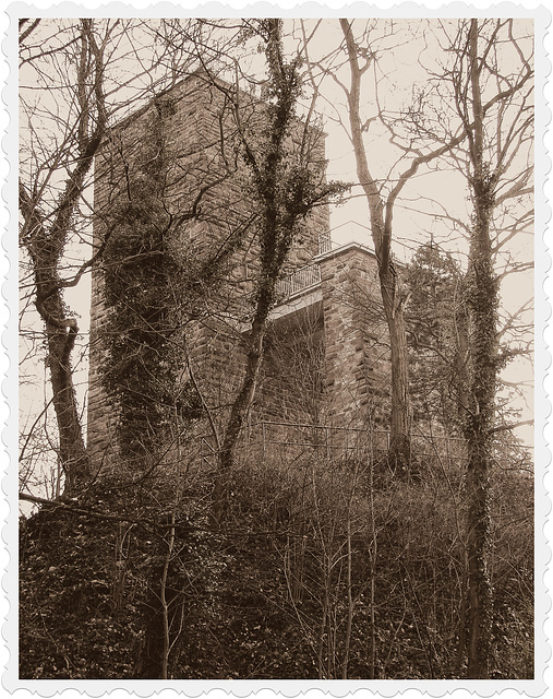Turmberg-Ruine