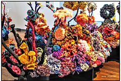Korallen gehäkelt