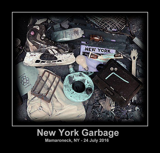 New York Garbage (Infrared, False Color)
