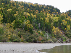 Autumn colors, Bay of Fundy
