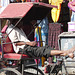 Jaipur- Bapu Bazar- Resting Rickshaw Wallah