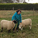 happy days with the sheep