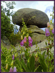 My Mushroom Rock again, from a different angle
