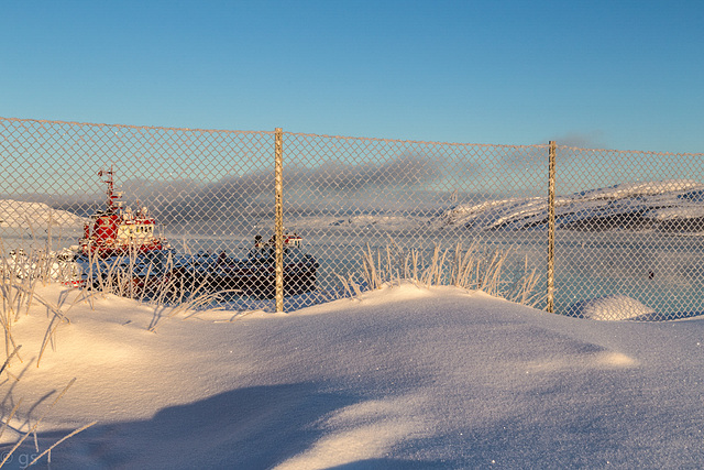 Bøkfjord- behind the fence