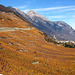 HFF from  Swiss Vine Slopes SE of Mount Blanc