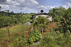 Satellite Dish – Near Los Chiles, Alajuela Province, Costa Rica