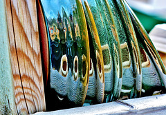 Glazed Plates. Garden Centre
