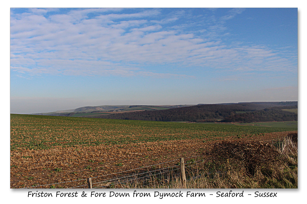 Friston Forest & Fore Down from Dymock Farm Seaford 19 1 2016