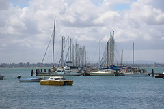 Boats At Williamstown Marina