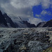 Glacier blanc et au fond Barre des Écrins 4102m