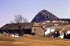 Sainte-Eulalie (07). Le Mont Gerbier de Jonc  Avril 1980. (Diapositive numérisée).